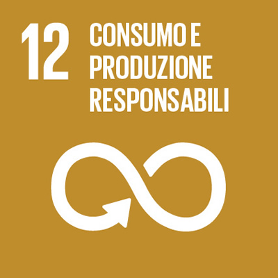 sdg12