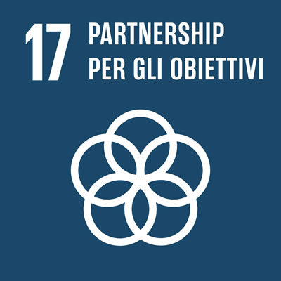 sdg17
